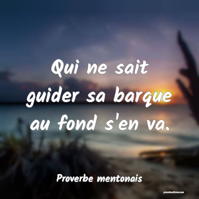 Qui ne sait guider sa barque au fond s'en va.