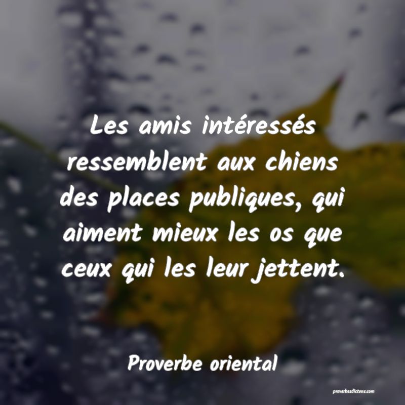 Les amis intéressés ressemblent aux chiens des places publiques, qui aiment mieux les os que ceux qui les leur jettent.