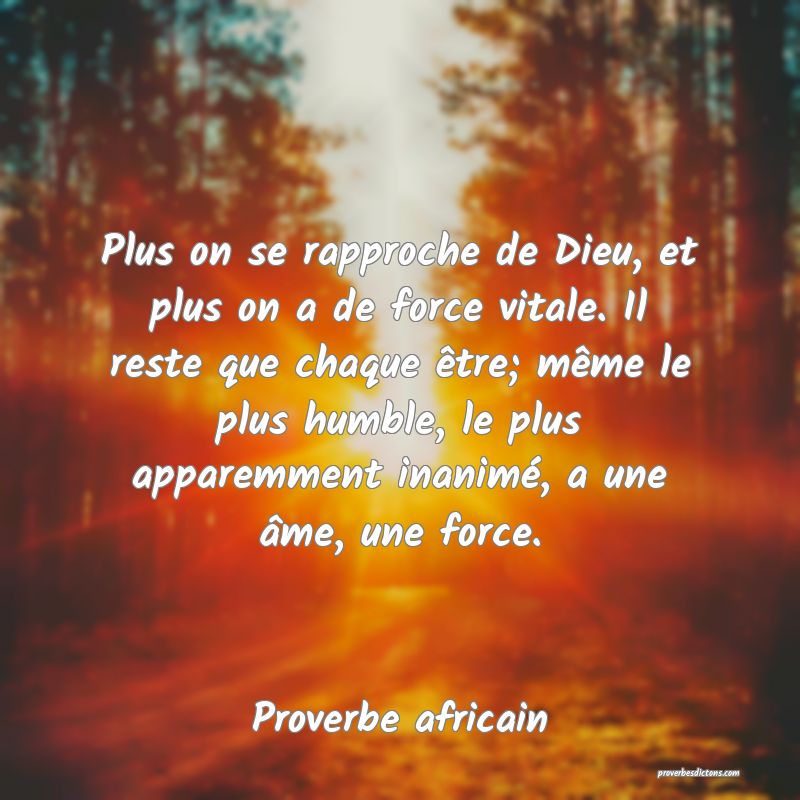 Plus on se rapproche de Dieu, et plus on a de force vitale. Il reste que chaque être; même le plus humble, le plus apparemment inanimé, a une âme, une force.
