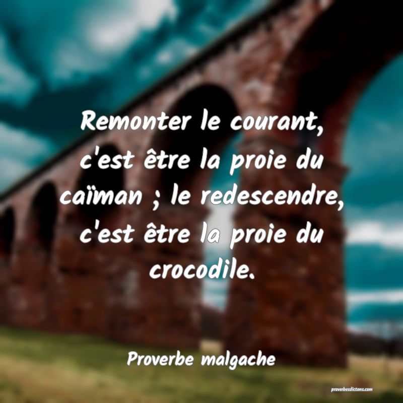 Remonter le courant, c'est être la proie du caïman ; le redescendre, c'est être la proie du crocodile.