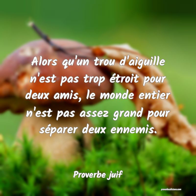 Alors qu'un trou d'aiguille n'est pas trop étroit pour deux amis, le monde entier n'est pas assez grand pour séparer deux ennemis.