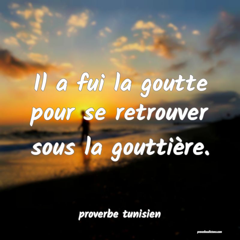  Il a fui la goutte pour se retrouver sous la gouttière.