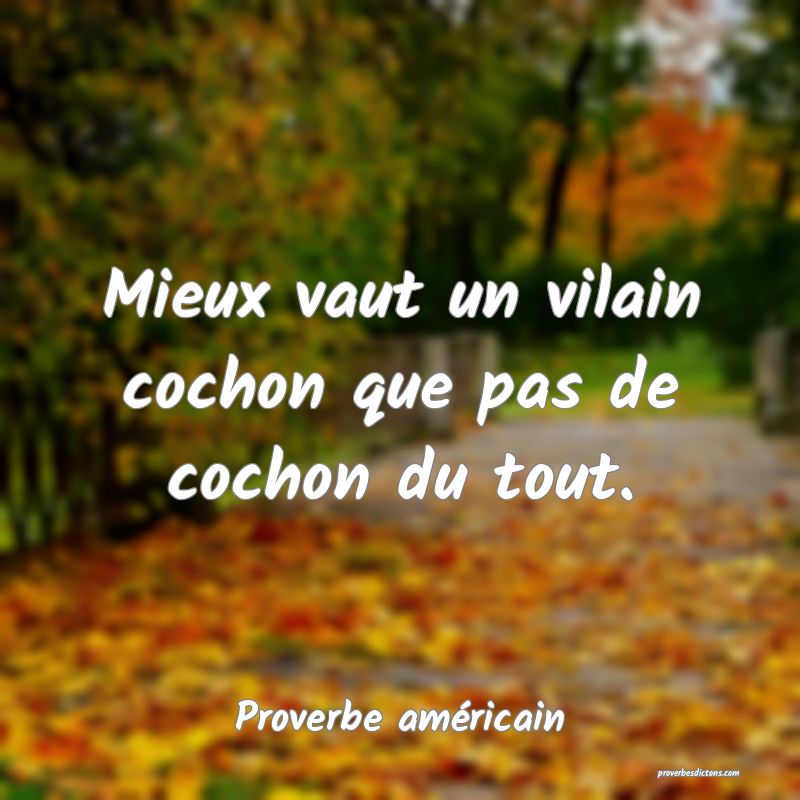 Mieux vaut un vilain cochon que pas de cochon du tout.