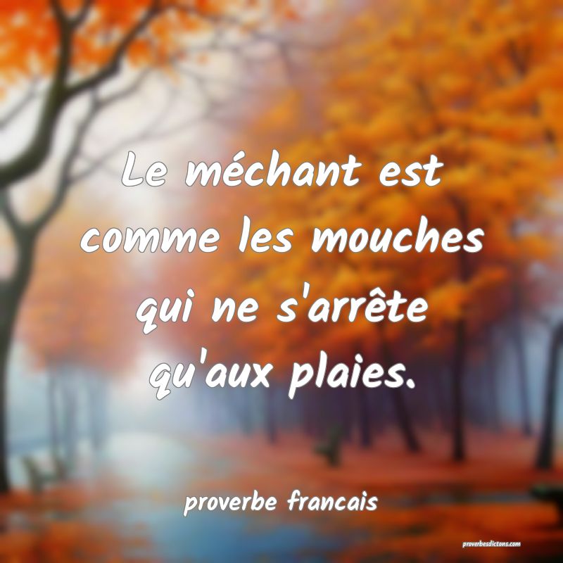 Le méchant est comme les mouches qui ne s'arrête qu'aux plaies.