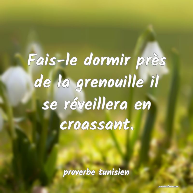  Fais-le dormir près de la grenouille il se réveillera en croassant.
