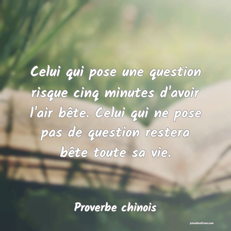 Celui qui pose une question risque cinq minutes d'avoir l'air bête. Celui qui ne pose pas de question restera bête toute sa vie.
