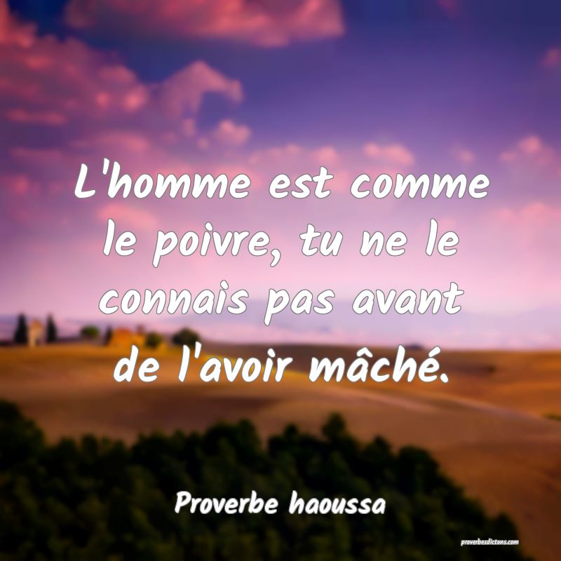 L'homme est comme le poivre, tu ne le connais pas avant de l'avoir mâché.