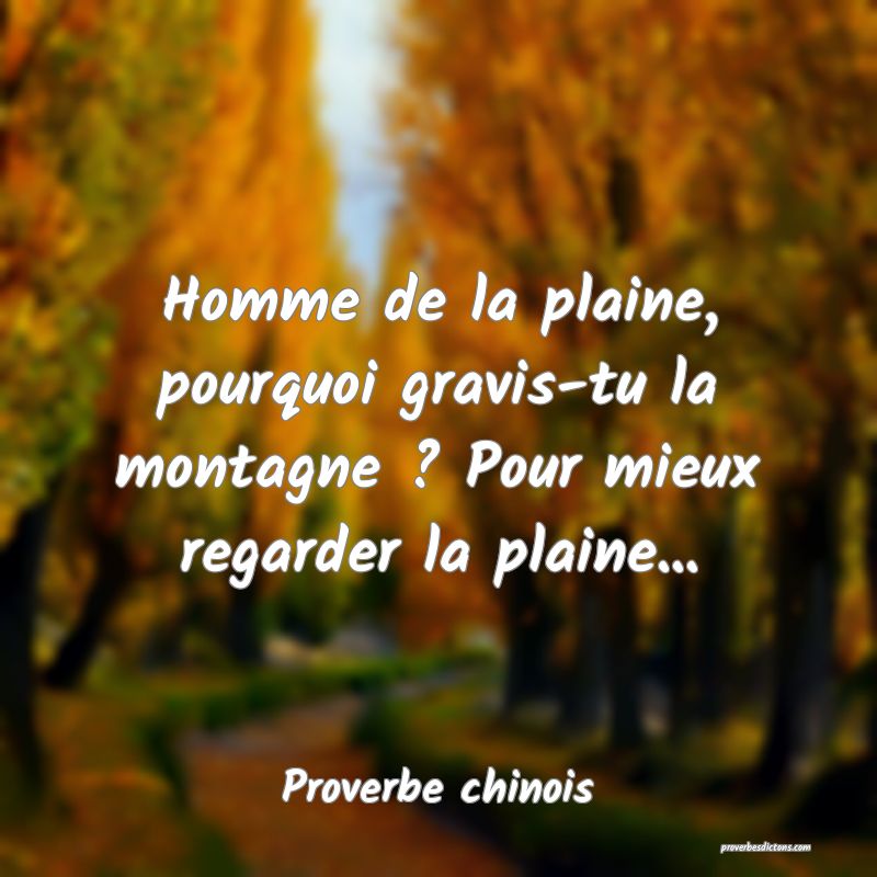 Homme de la plaine, pourquoi gravis-tu la montagne ? Pour mieux regarder la plaine...