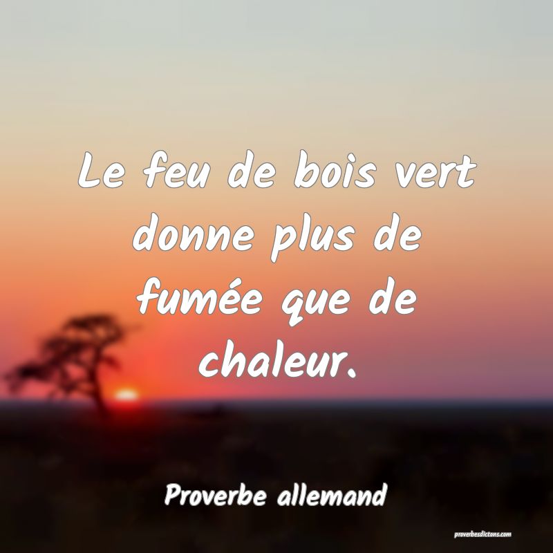 Le feu de bois vert donne plus de fumée que de chaleur.