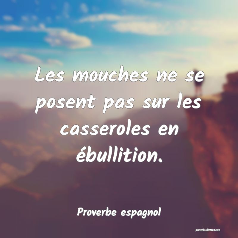 Les mouches ne se posent pas sur les casseroles en ébullition.