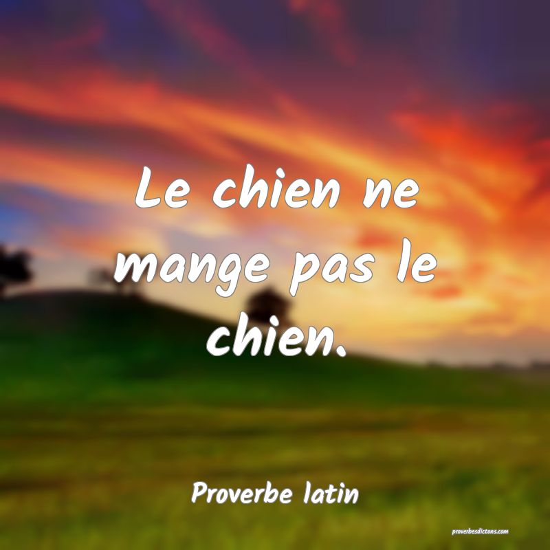 Le chien ne mange pas le chien.