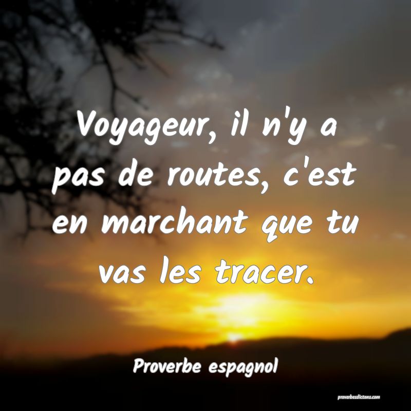 Voyageur, il n'y a pas de routes, c'est en marchant que tu vas les tracer.
