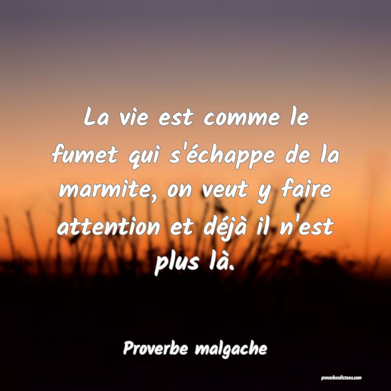 La vie est comme le fumet qui s'échappe de la marmite, on veut y faire attention et déjà il n'est plus là.