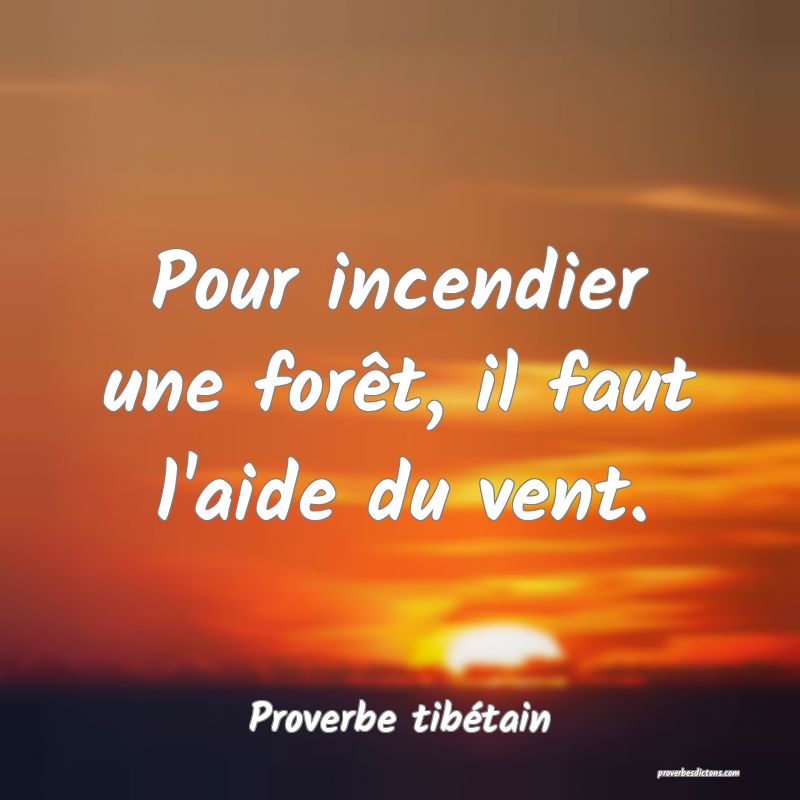 Pour incendier une forêt, il faut l'aide du vent.