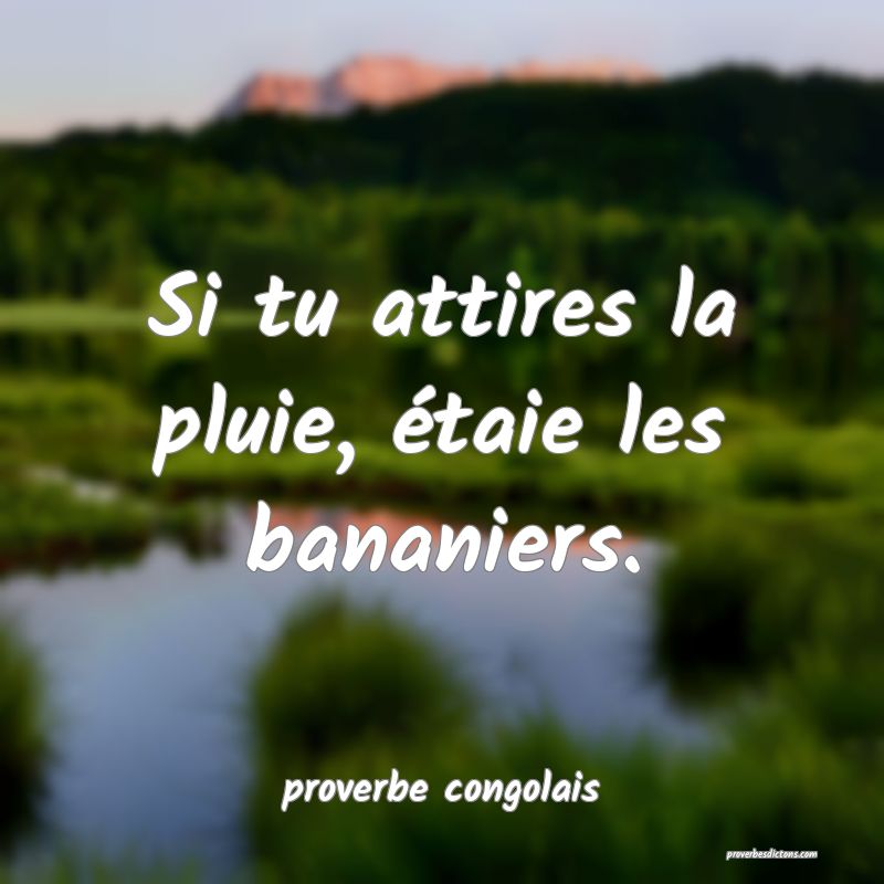 Si tu attires la pluie, étaie les bananiers.
