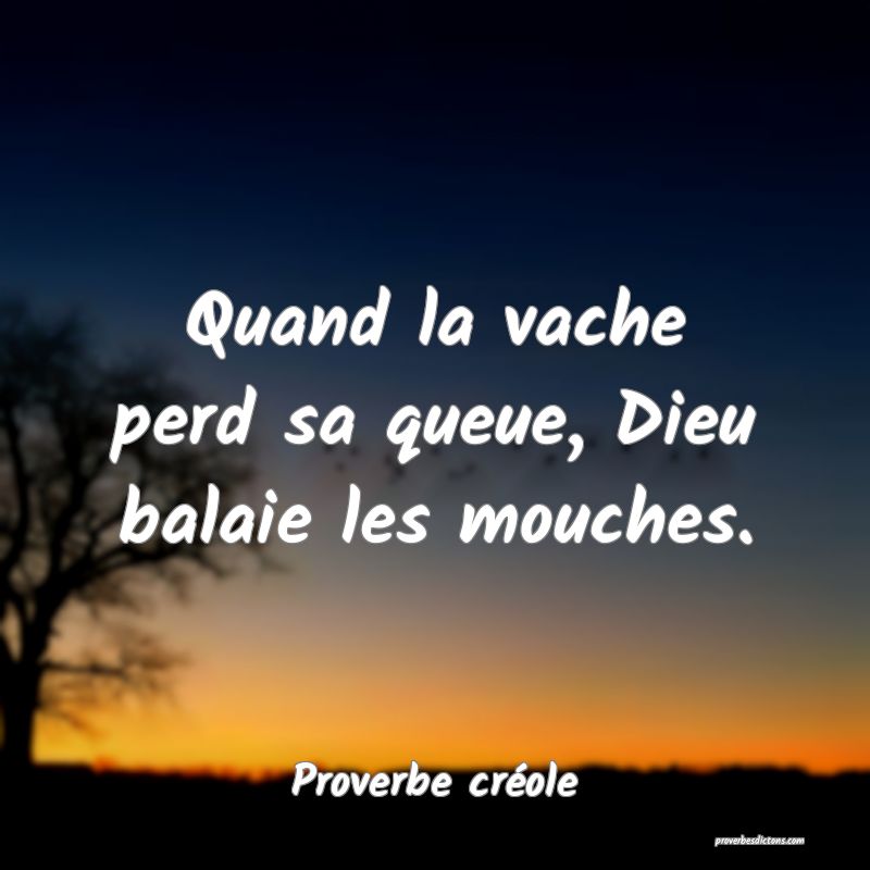 Quand la vache perd sa queue, Dieu balaie les mouches.