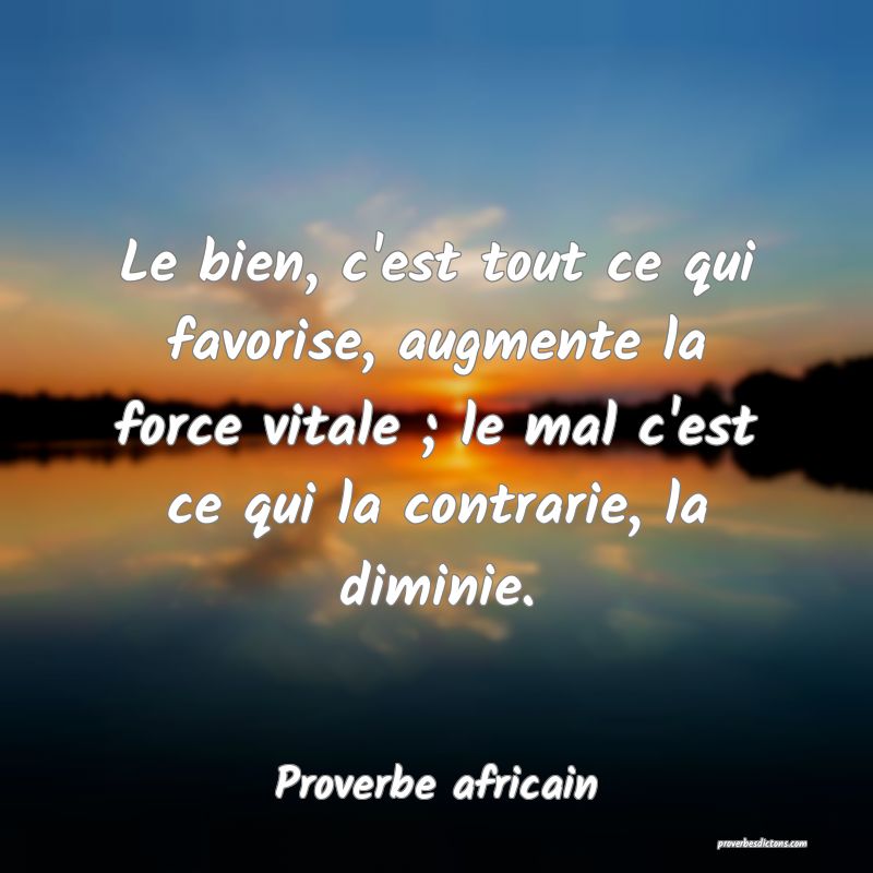 Le bien, c'est tout ce qui favorise, augmente la force vitale ; le mal c'est ce qui la contrarie, la diminie.