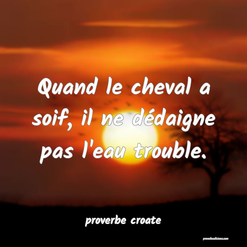  Quand le cheval a soif, il ne dédaigne pas l'eau trouble.