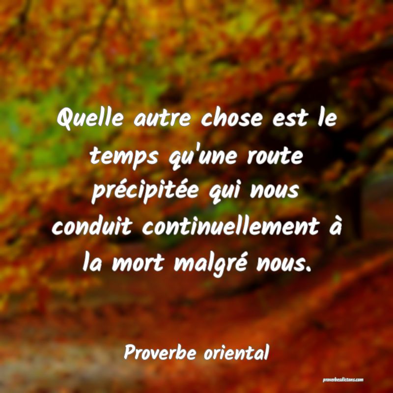 Quelle autre chose est le temps qu'une route précipitée qui nous conduit continuellement à la mort malgré nous.