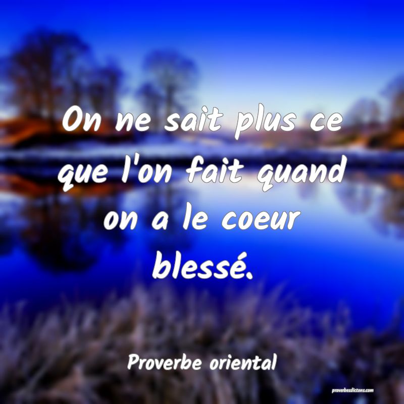 On ne sait plus ce que l'on fait quand on a le coeur blessé.