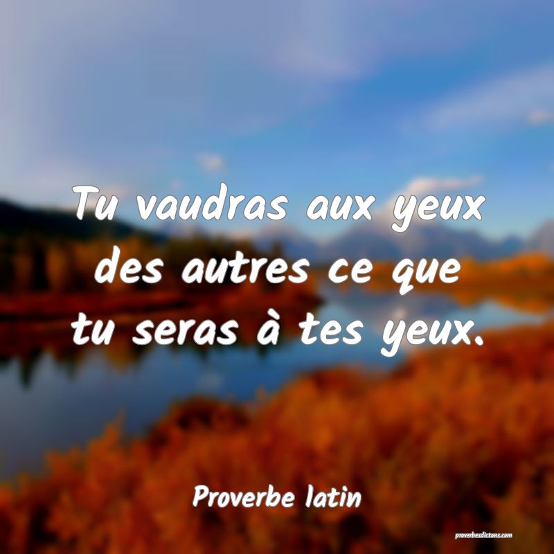 Tu vaudras aux yeux des autres ce que tu seras à tes yeux.