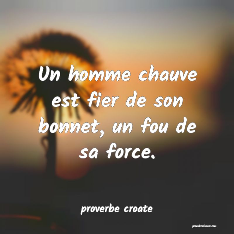  Un homme chauve est fier de son bonnet, un fou de sa force.