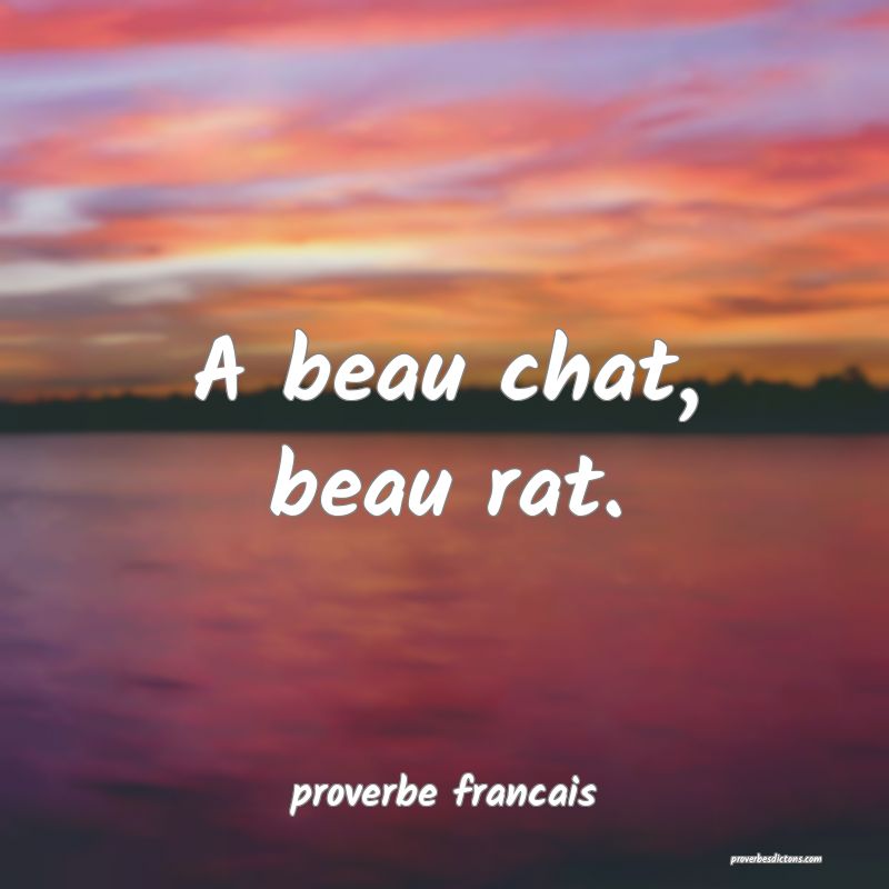 A beau chat, beau rat.