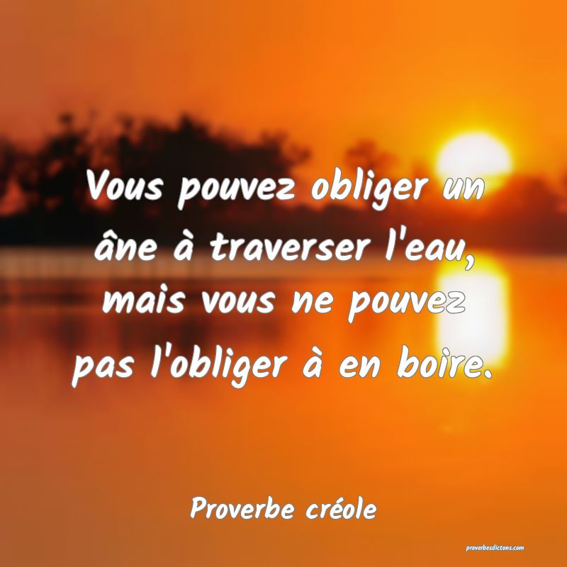 Vous pouvez obliger un âne à traverser l'eau, mais vous ne pouvez pas l'obliger à en boire.