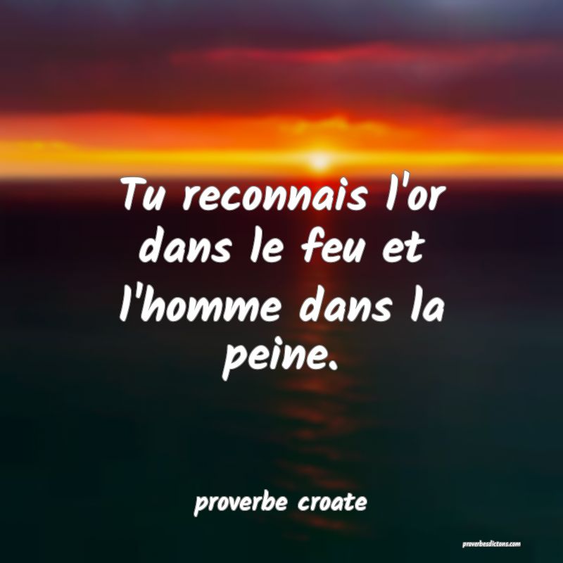  Tu reconnais l'or dans le feu et l'homme dans la peine.