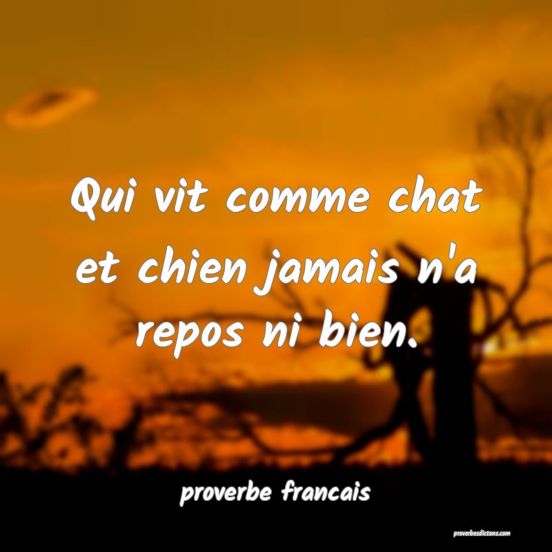 Qui vit comme chat et chien jamais n'a repos ni bien.