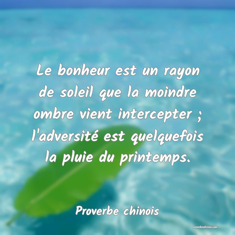 Le bonheur est un rayon de soleil que la moindre ombre vient intercepter ; l'adversité est quelquefois la pluie du printemps.