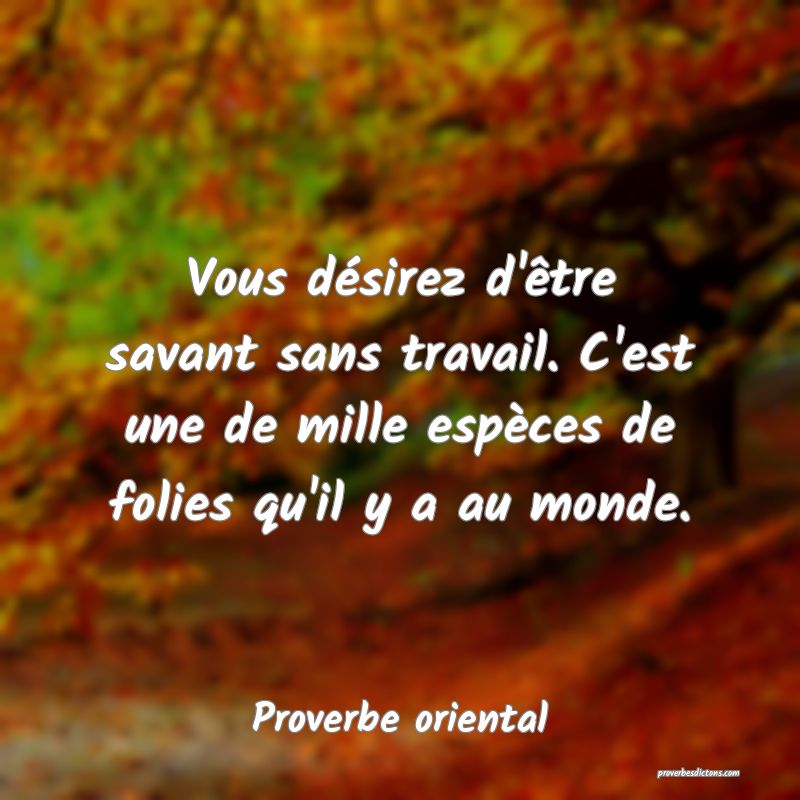 Vous désirez d'être savant sans travail. C'est une de mille espèces de folies qu'il y a au monde.