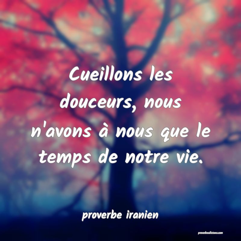  Cueillons les douceurs, nous n'avons à nous que le temps de notre vie.