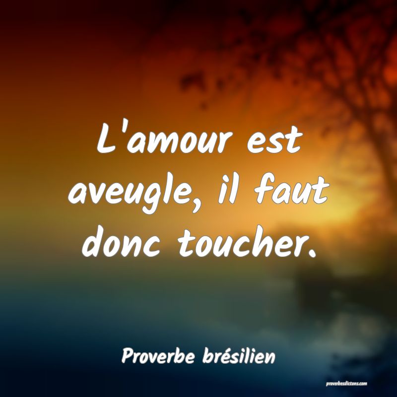 L'amour est aveugle, il faut donc toucher.
