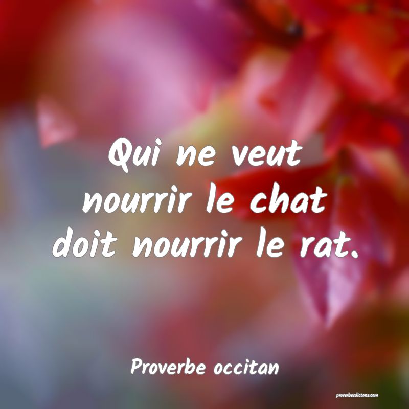Qui ne veut nourrir le chat doit nourrir le rat.
