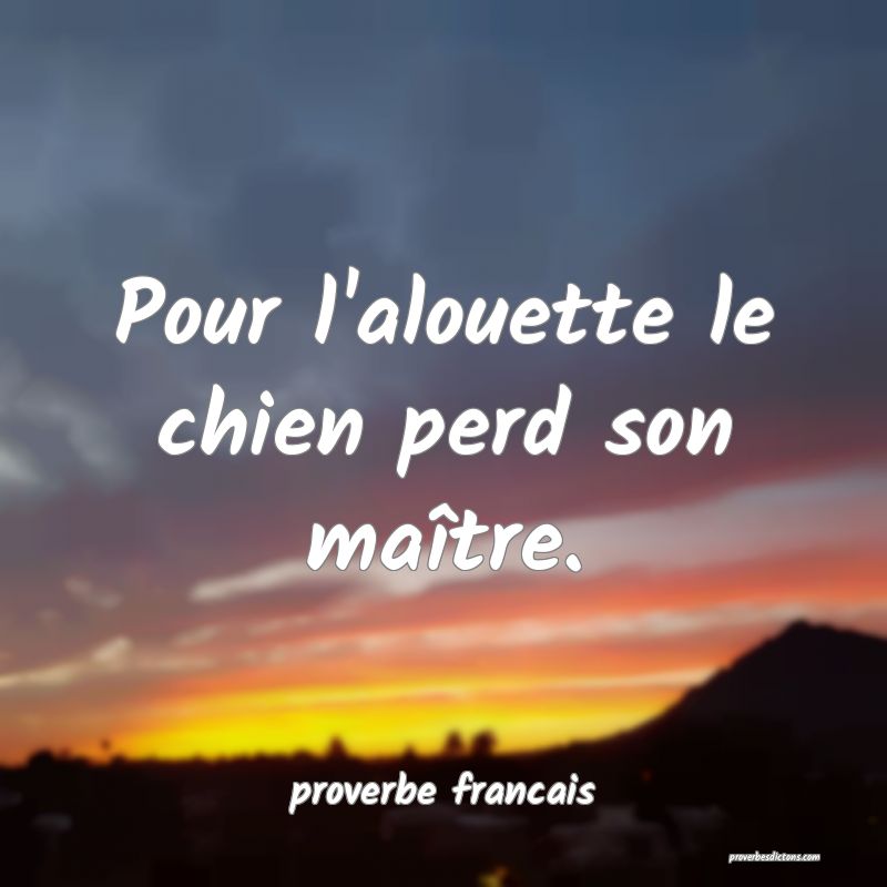 Pour l'alouette le chien perd son maître.