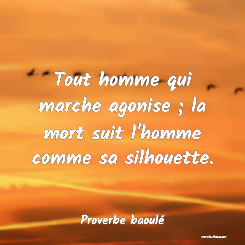 Tout homme qui marche agonise ; la mort suit l'homme comme sa silhouette.