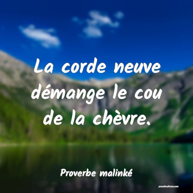 La corde neuve démange le cou de la chèvre.