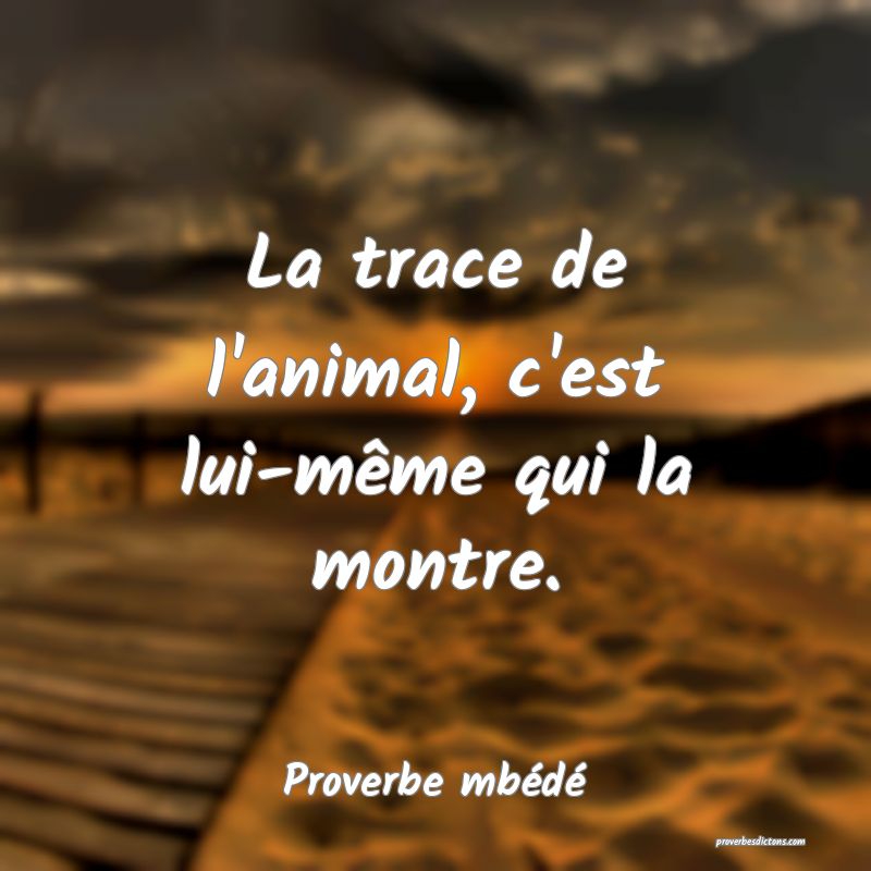 La trace de l'animal, c'est lui-même qui la montre.
