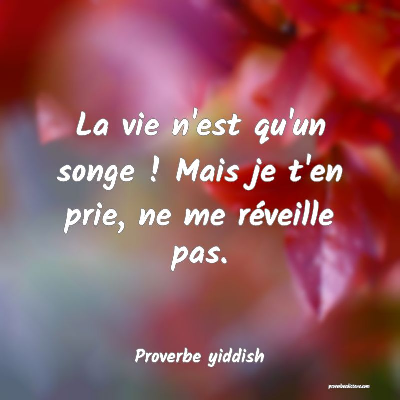 La vie n'est qu'un songe ! Mais je t'en prie, ne me réveille pas.