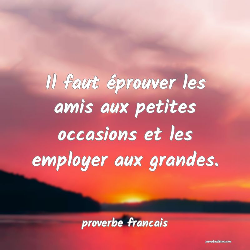 Il faut éprouver les amis aux petites occasions et les employer aux grandes.
