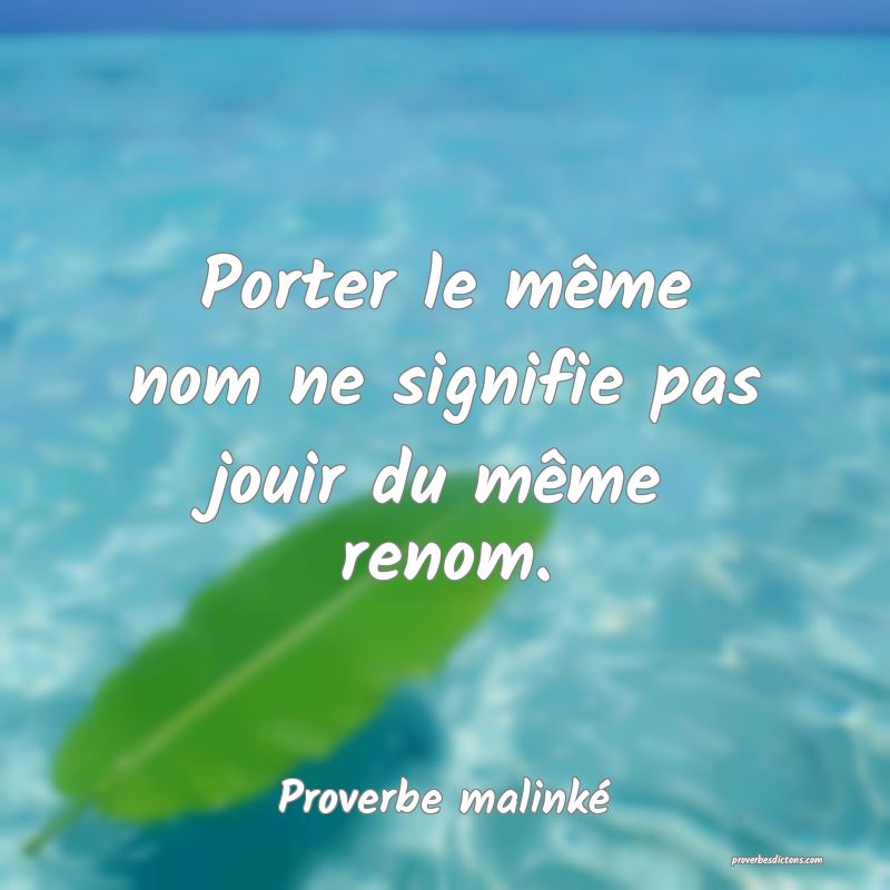 Porter le même nom ne signifie pas jouir du même renom.