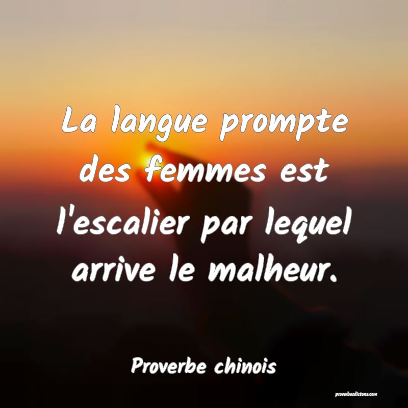 La langue prompte des femmes est l'escalier par lequel arrive le malheur.