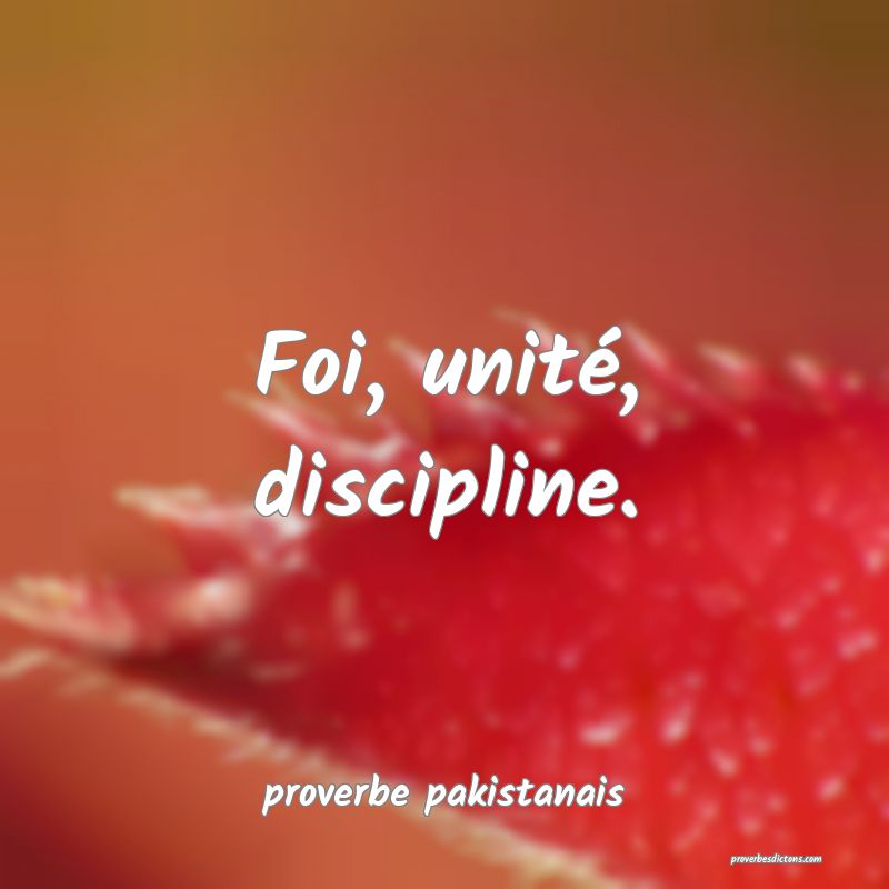  Foi, unité, discipline.