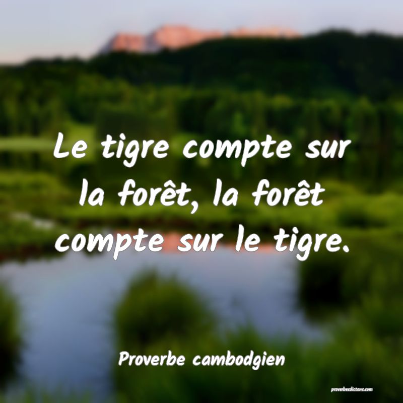 Le tigre compte sur la forêt, la forêt compte sur le tigre.