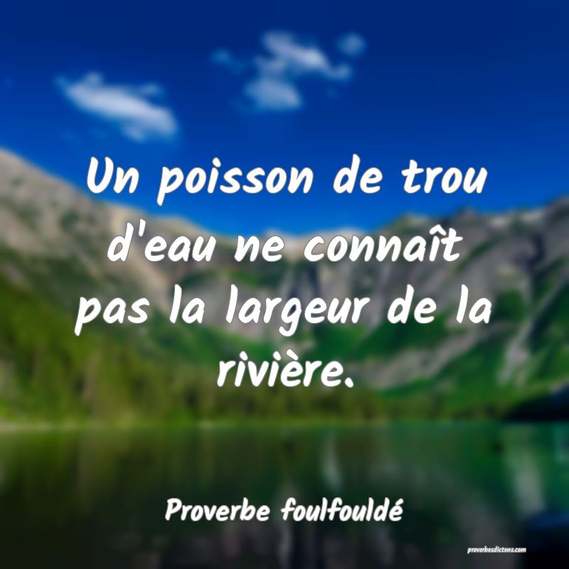 Un poisson de trou d'eau ne connaît pas la largeur de la rivière.