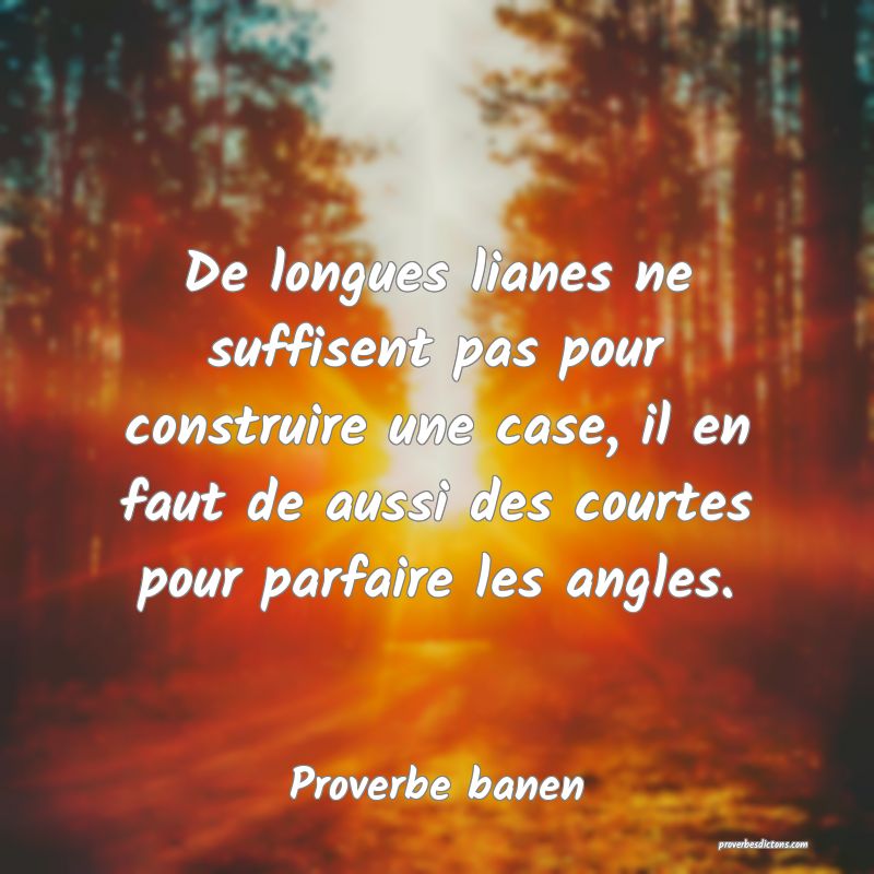 De longues lianes ne suffisent pas pour construire une case, il en faut de aussi des courtes pour parfaire les angles.