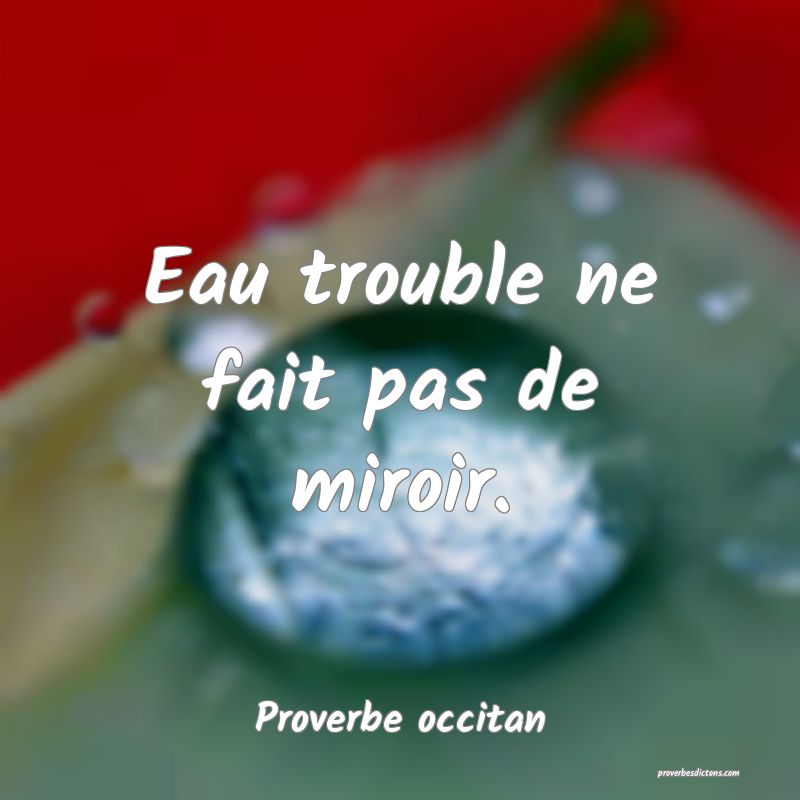 Eau trouble ne fait pas de miroir.