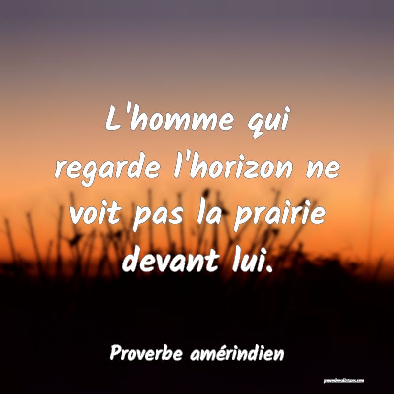 L'homme qui regarde l'horizon ne voit pas la prairie devant lui.