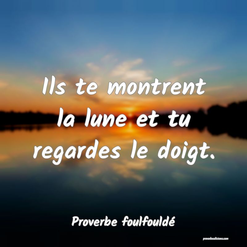 Ils te montrent la lune et tu regardes le doigt.